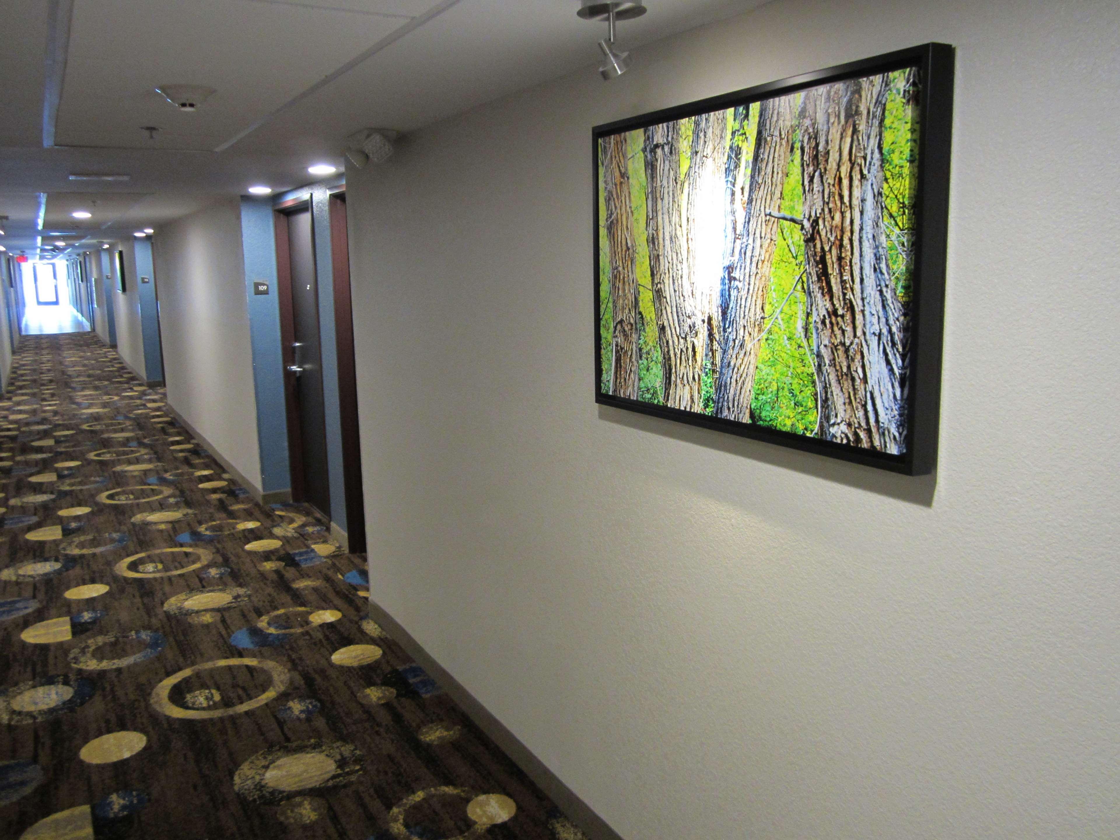 Best Western Plus Sunrise Inn Nashville Ngoại thất bức ảnh